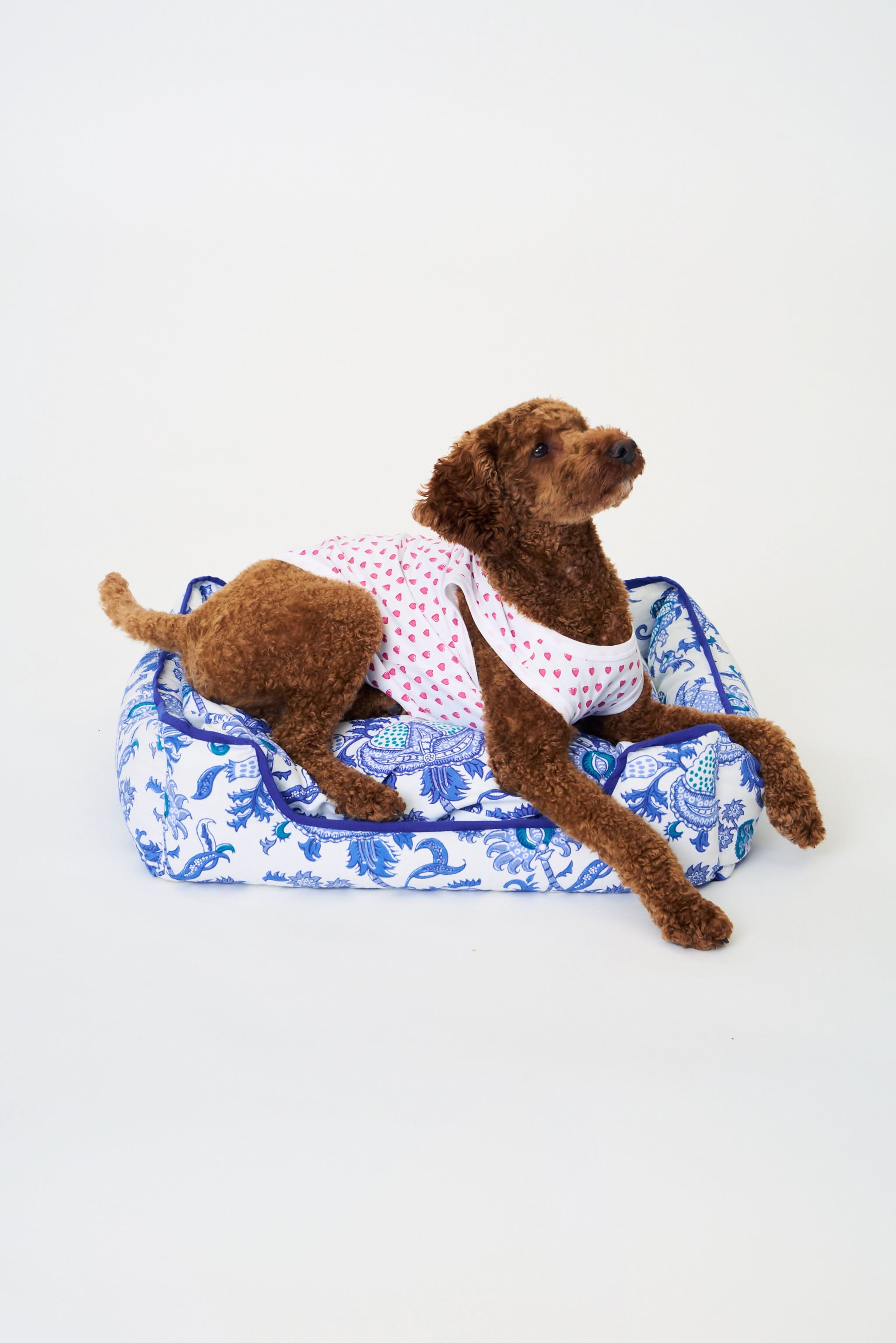 Amanda Dog Bed - Image 2