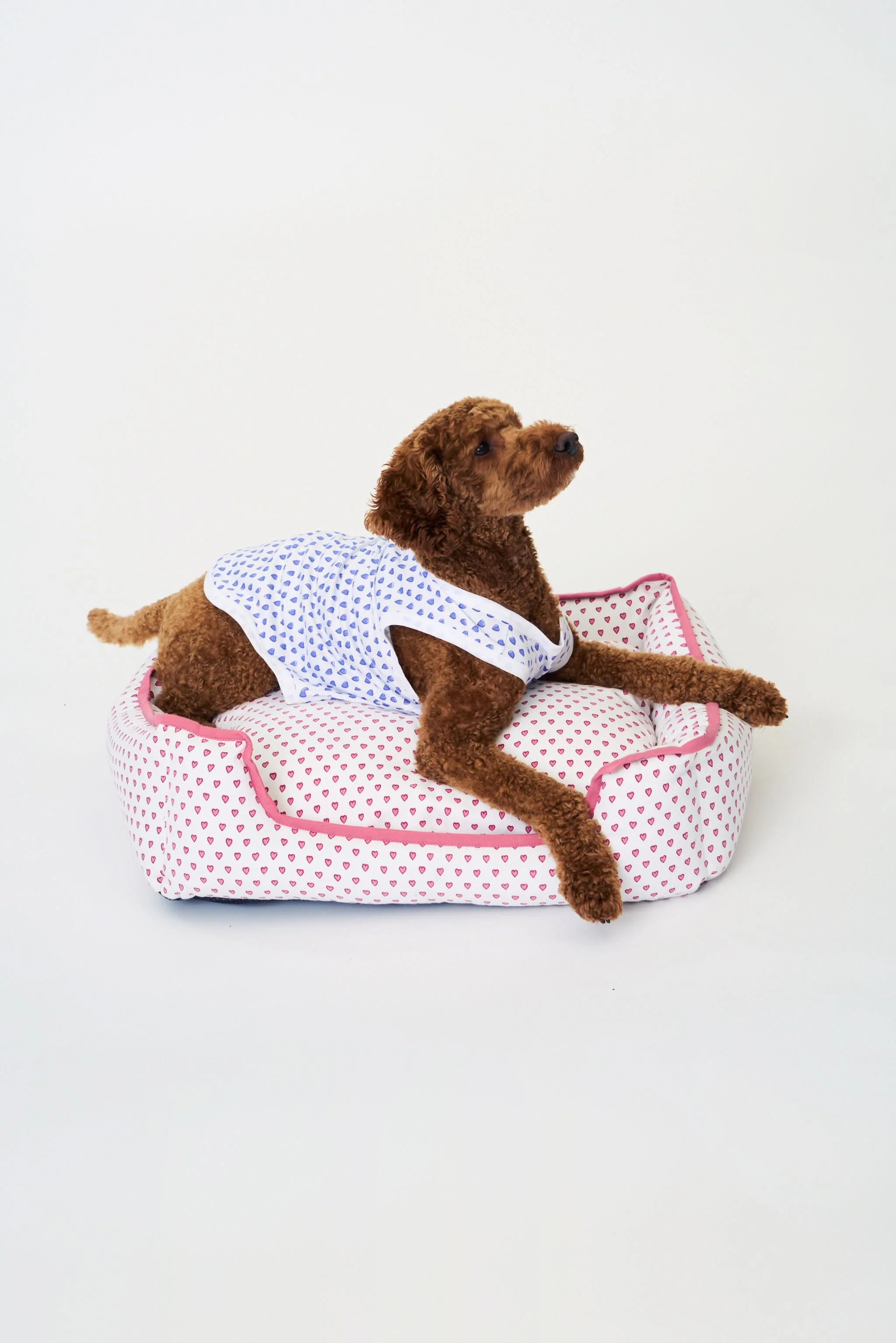 Hearts Dog Bed - Image 2