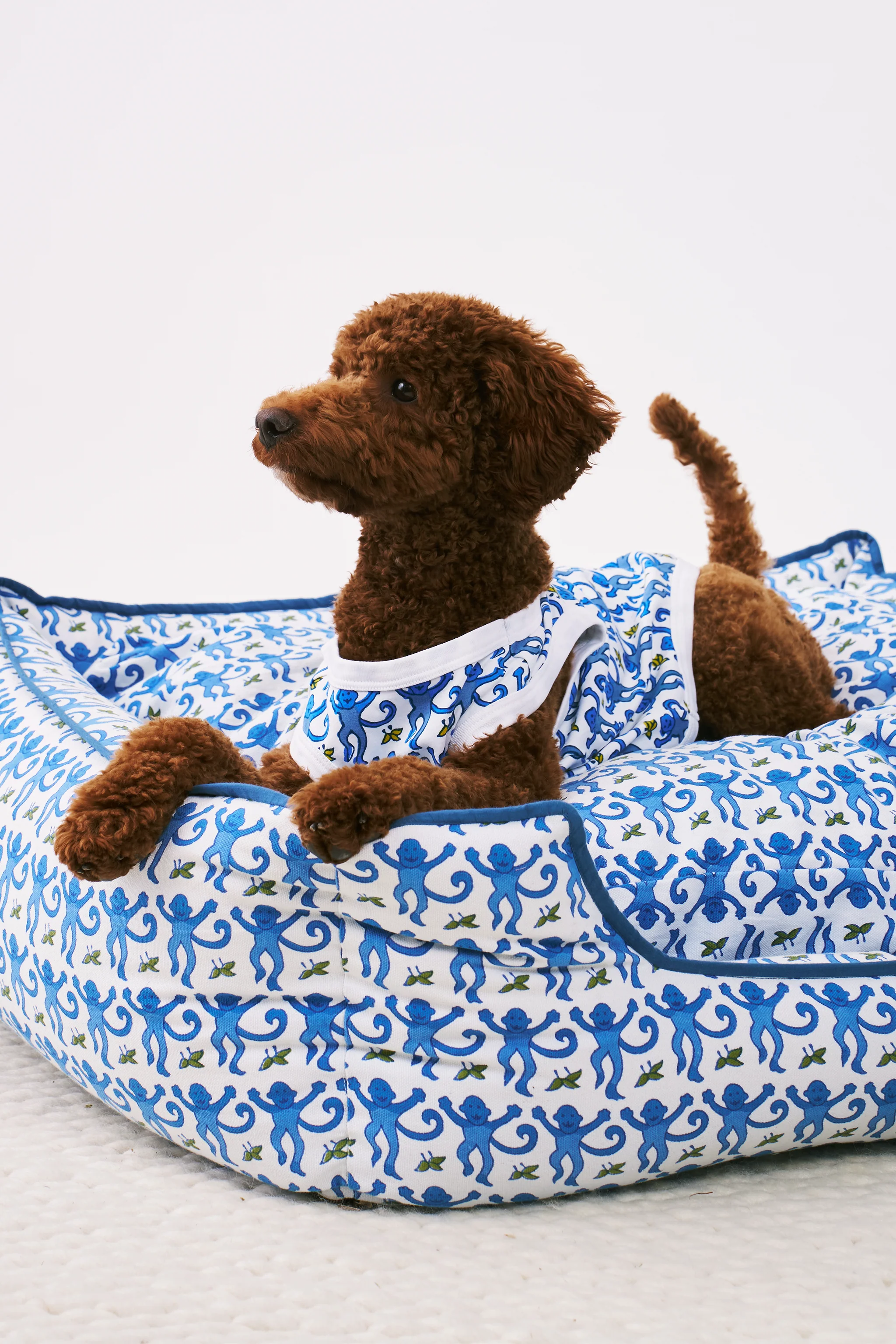 Monkey Dog Pajamas - Image 2
