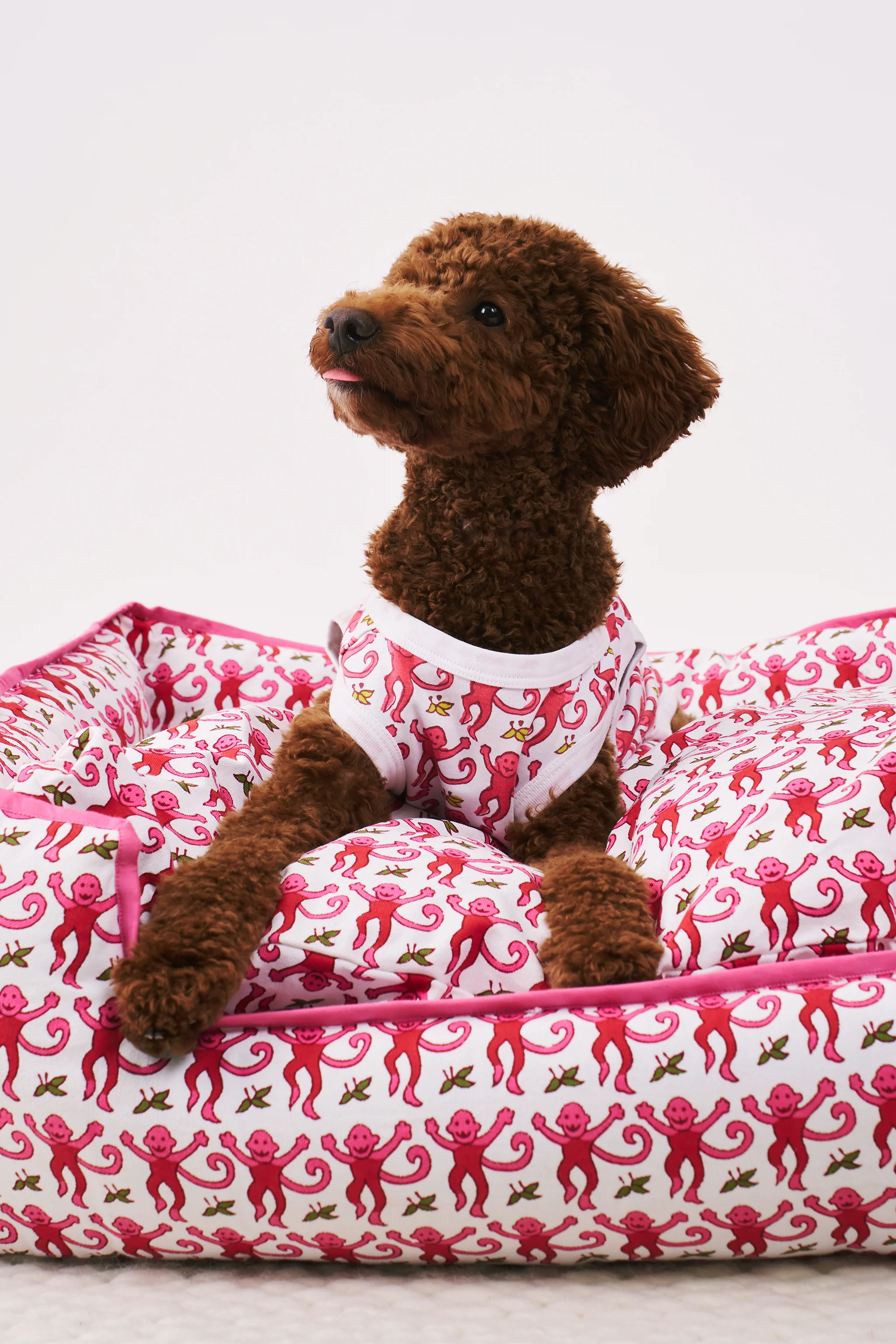 Monkey Dog Pajamas - Image 2