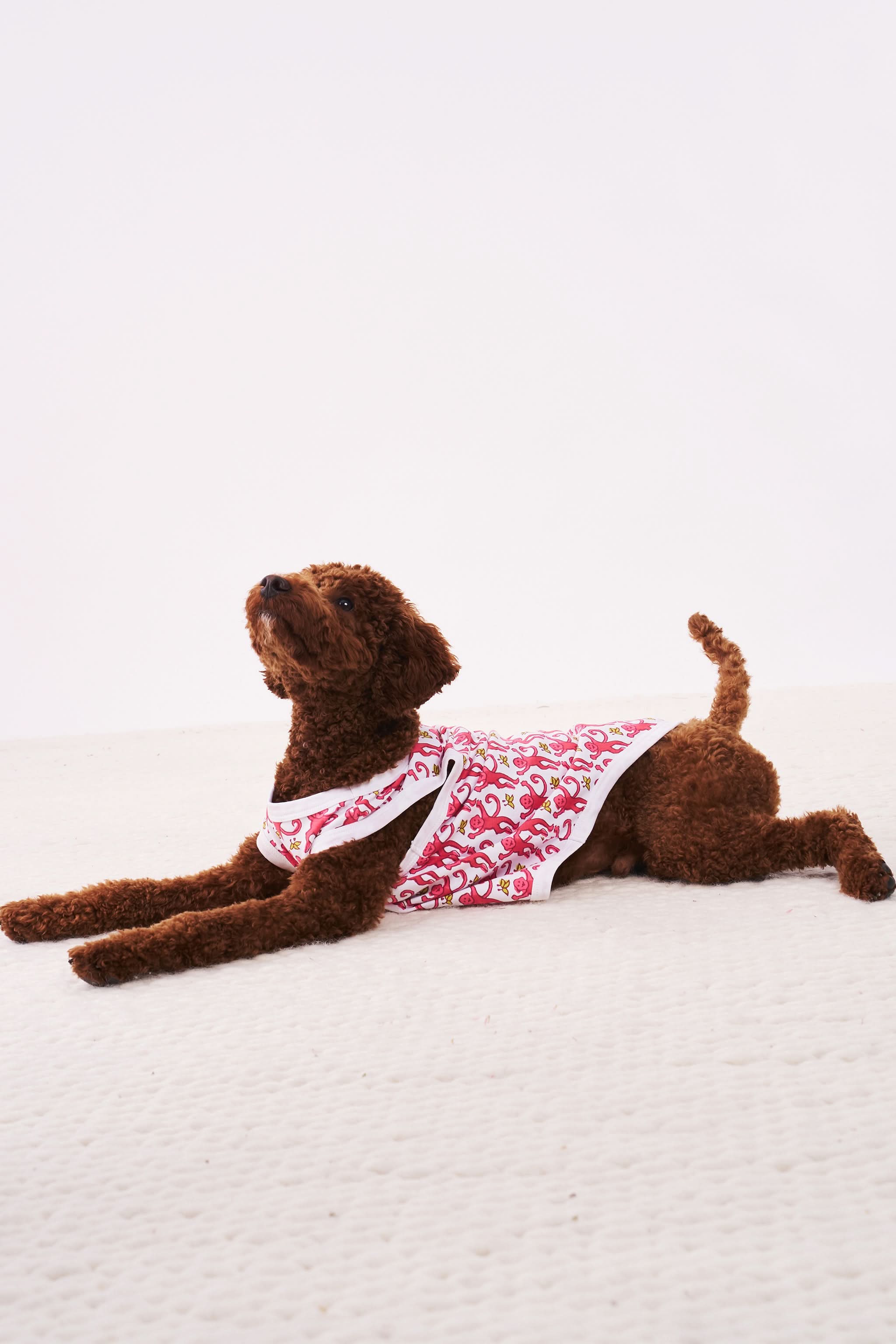 Monkey Dog Pajamas - Image 3