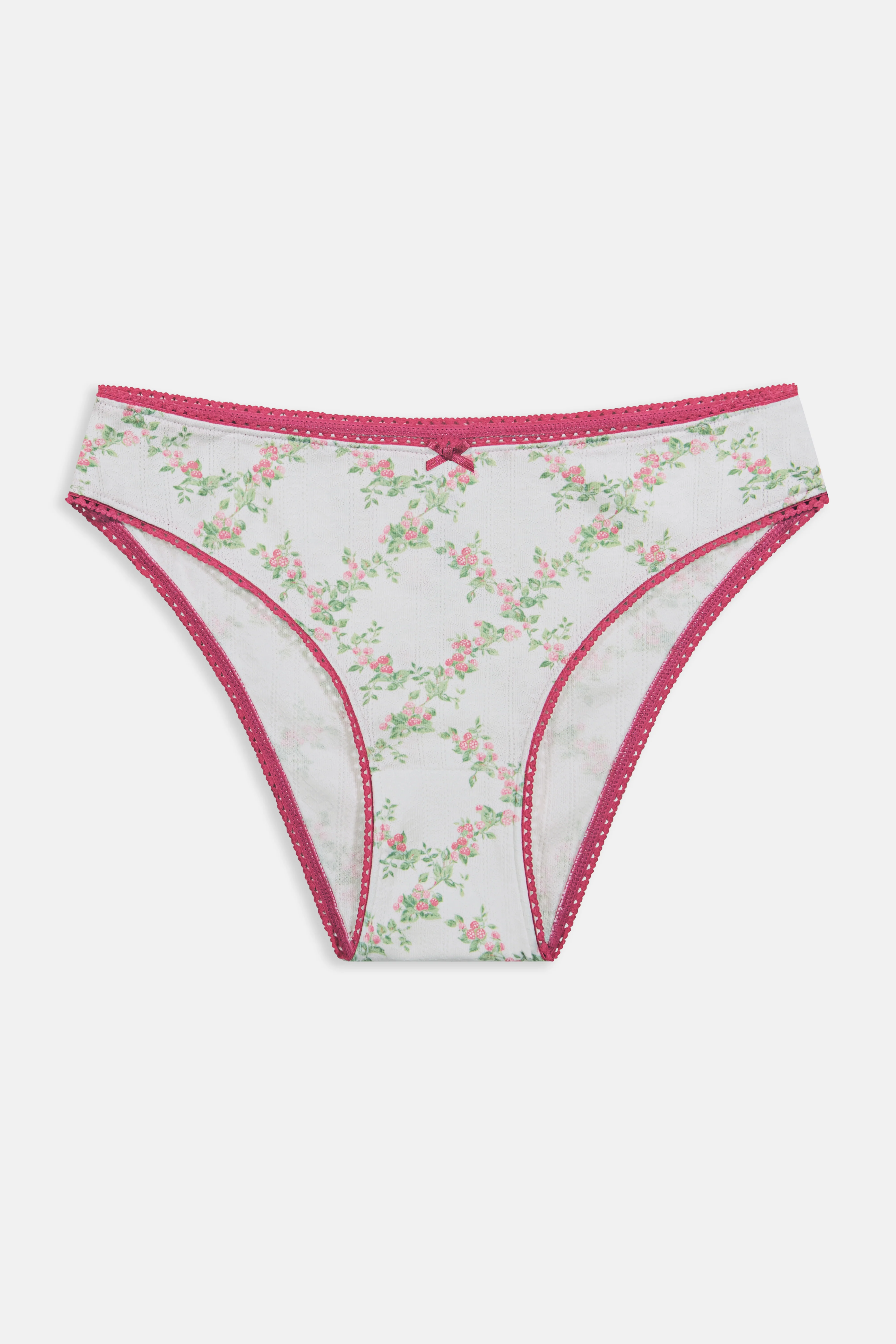 Raspberry Garden Gwen Bikini - Image 2