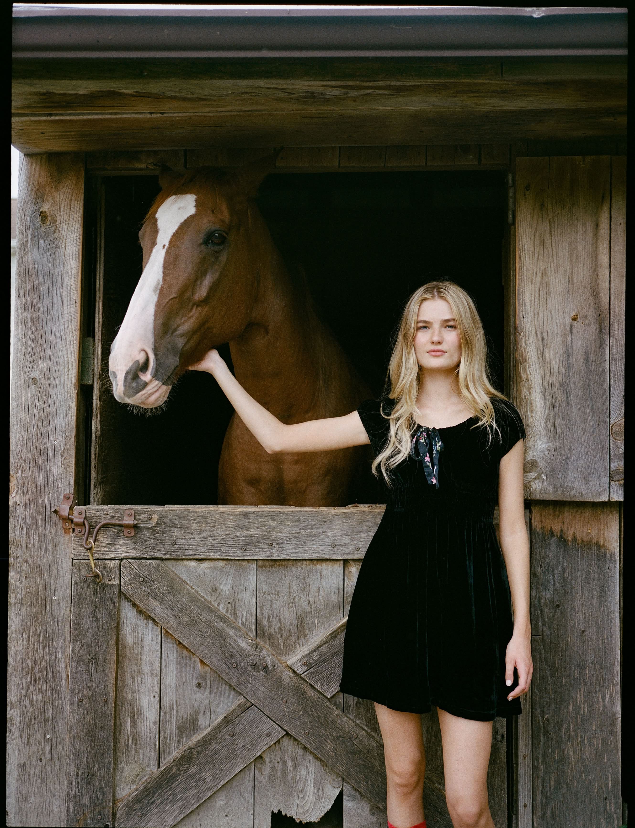 Velvet Tilly Dress - Image 5